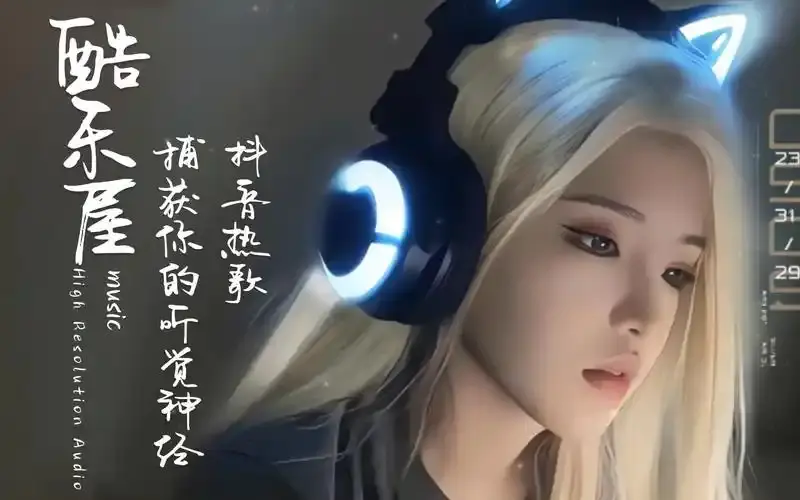 正版64G无损歌曲整理，内含经典、怀旧、流行等，全部免费收藏！-码小屋素材